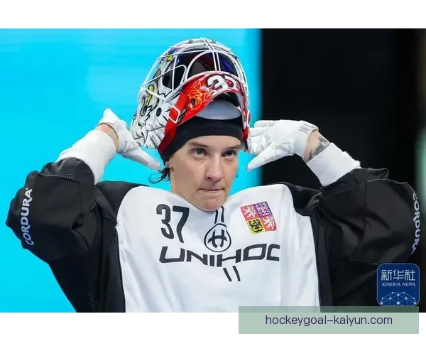 捷克在欧预赛中表现稳健，成功锁定出线席位